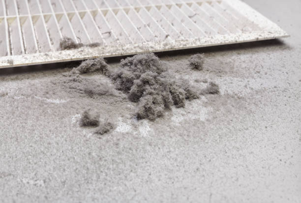 Best Emergency Air Duct Cleaning  in Meridian, TX