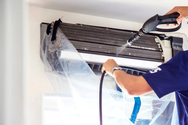 Air Duct Mold Removal in Meridian, TX