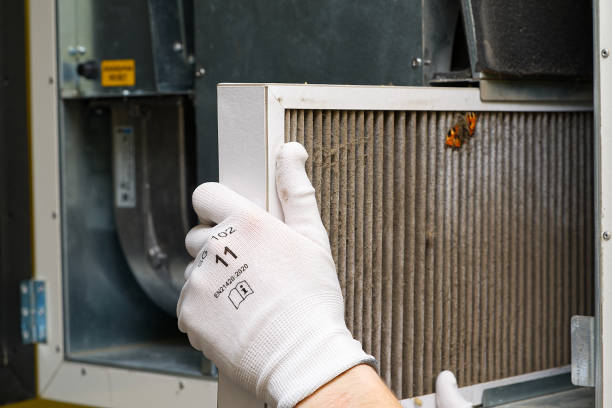 Best Professional Duct Cleaning Services  in Meridian, TX
