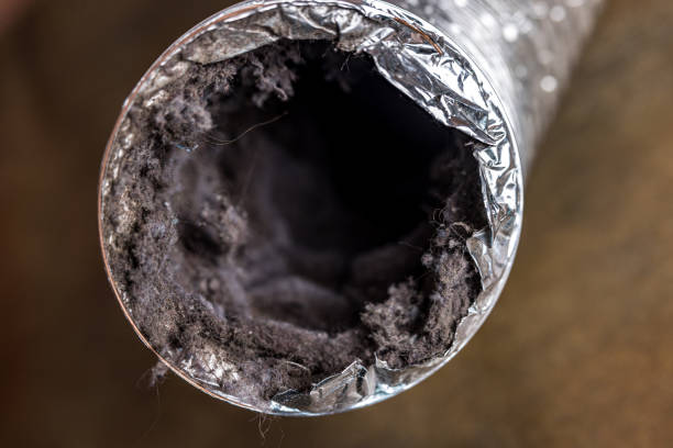 Best Air Duct Cleaning Near Me  in Meridian, TX