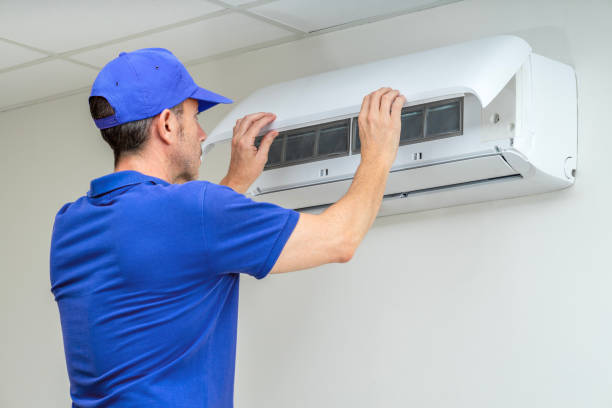 Best Air Duct Mold Removal  in Meridian, TX