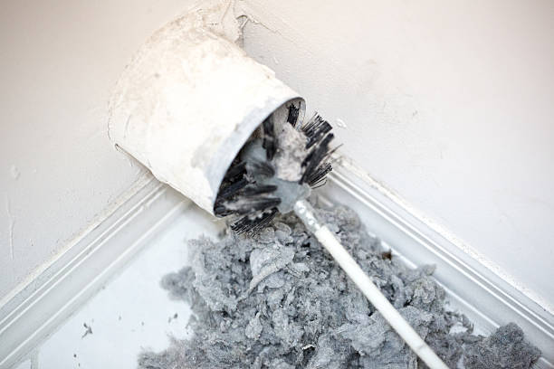 Best Affordable Air Duct Cleaning  in Meridian, TX